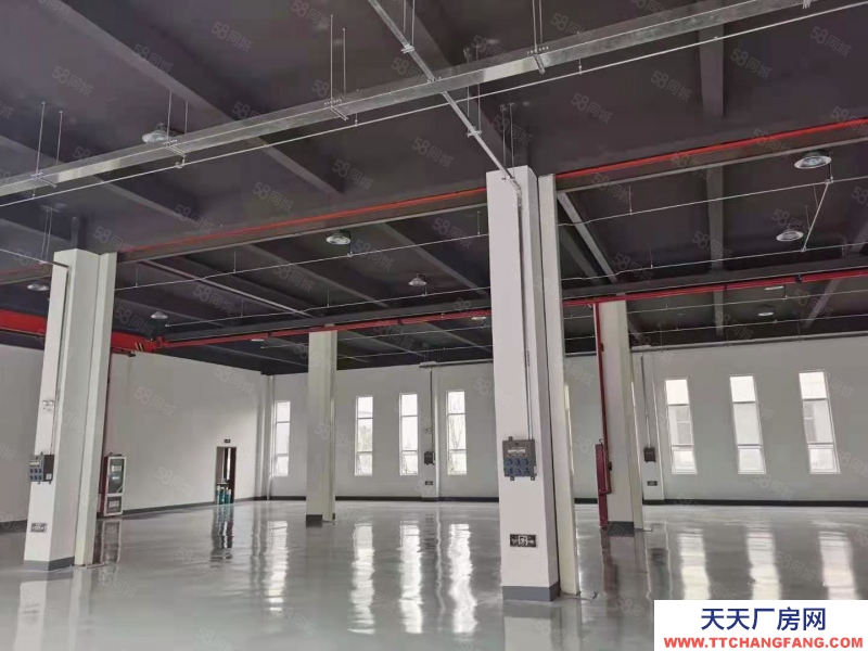 (出售) 綜改區廠房直售，700平到5300平，大紅本可按揭