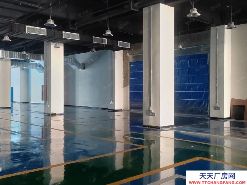 (出售) 大空間廠房轉(zhuǎn)讓,食品藥品,現(xiàn)房入住