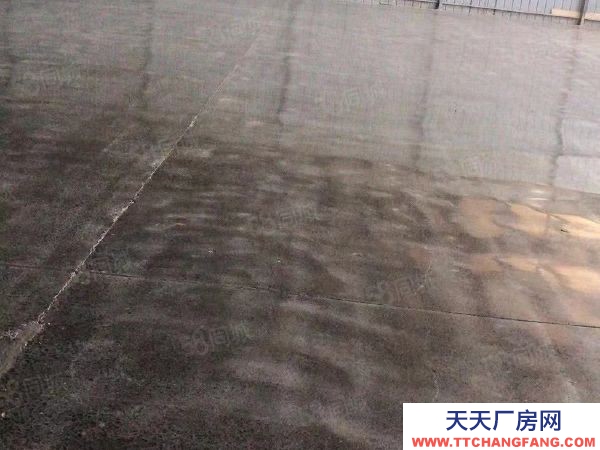 (出租) 鄭州惠濟區花園口黃河橋東鄰花溪路標準鋼結構高臺庫對外招租