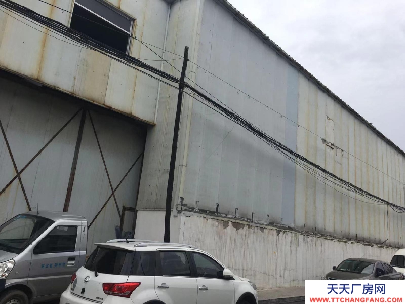 (出租) 可隨意分割大小面積，樓上樓下