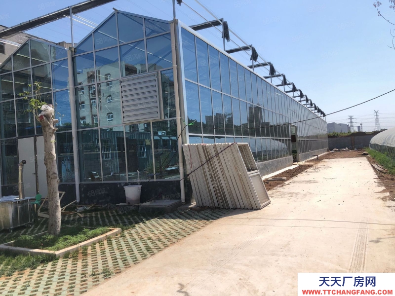 濟南長清平安北路獨門大院溫室培育基地場地倉庫出租