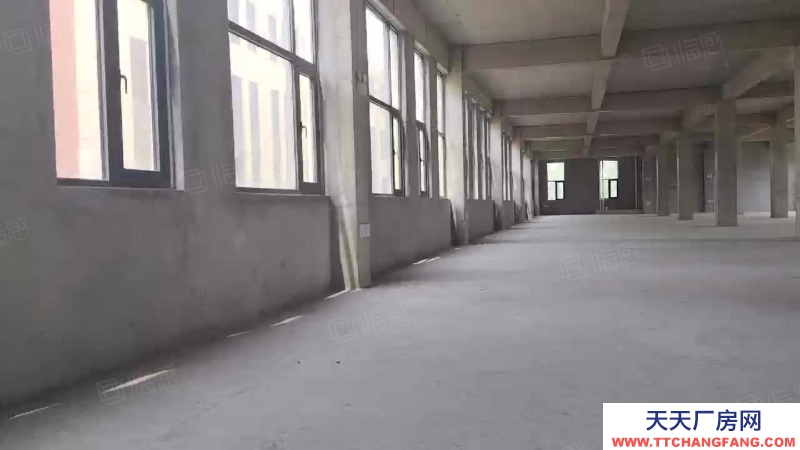 濟南長清現房廠房，即買即用，大平層，規(guī)整柱距柱網，自由分割內部空間