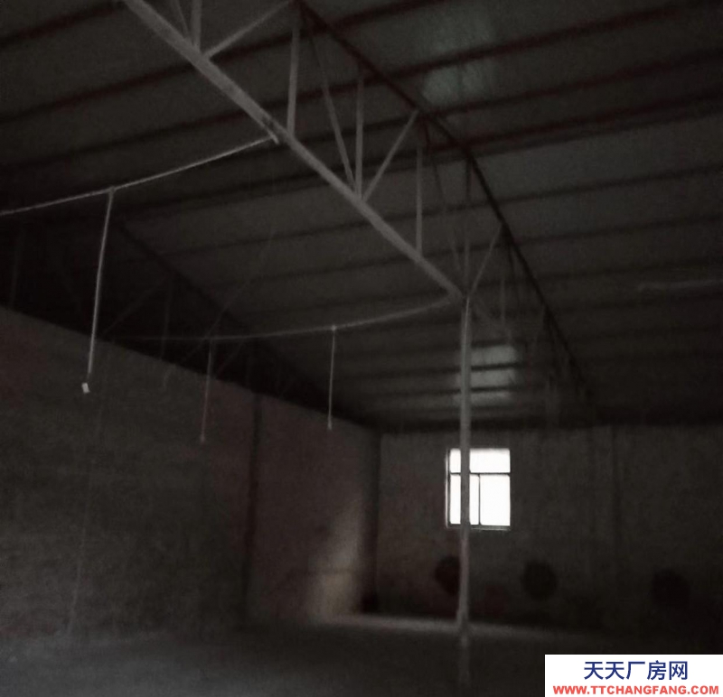 (出租) 松莊路東1km，房東直租，交通便利，水、三相電齊全，價格可議