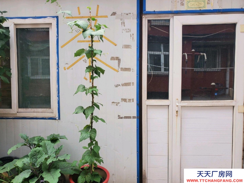 (出租) 彩鋼房，機關院內，臨南海街商圈