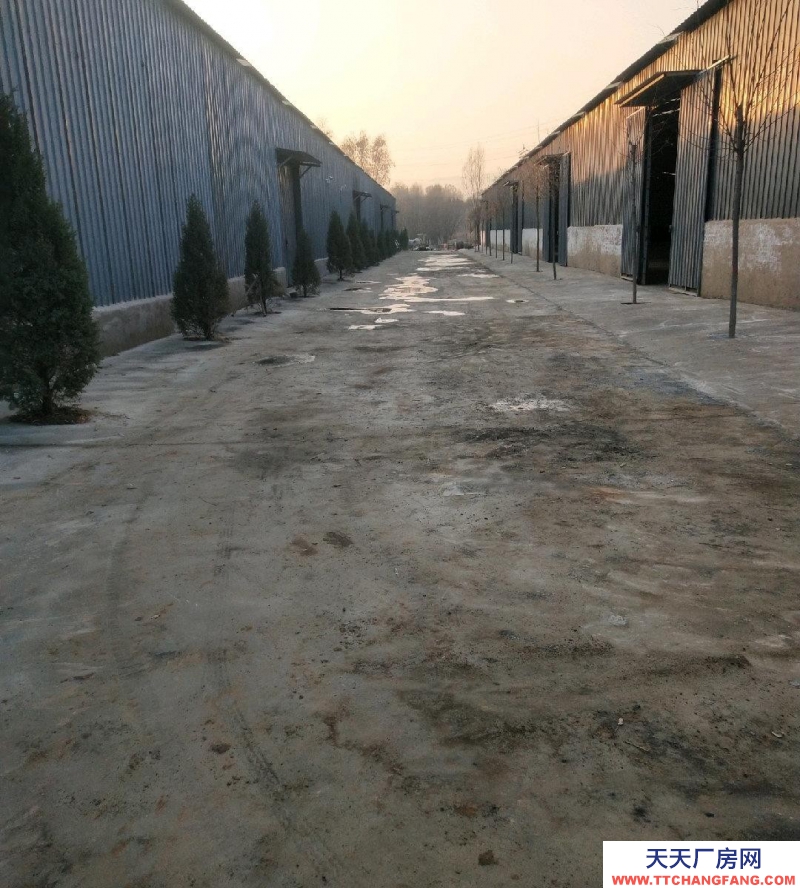 (出租) 庫房廠房場地，出租三相電水齊全