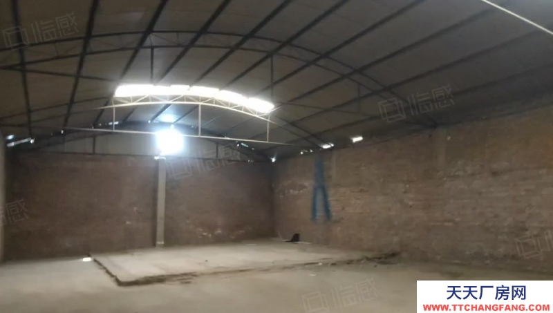 (出租) 廠房 倉庫出租 300平1000平可分租可整租西中環(huán)長興南街