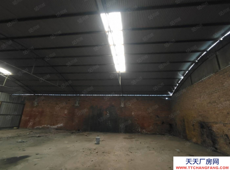 (出租) 廠房 倉庫出租 300平1000平可分租可整租西中環(huán)長興南街