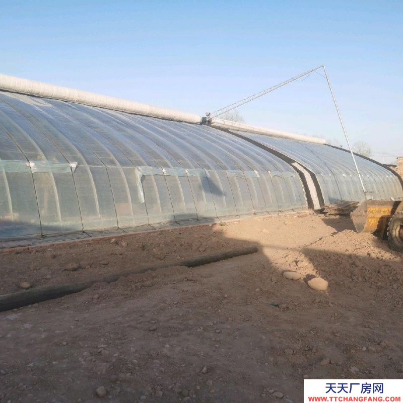 (出租) 現(xiàn)有新型溫室大棚帶多院子整體出租