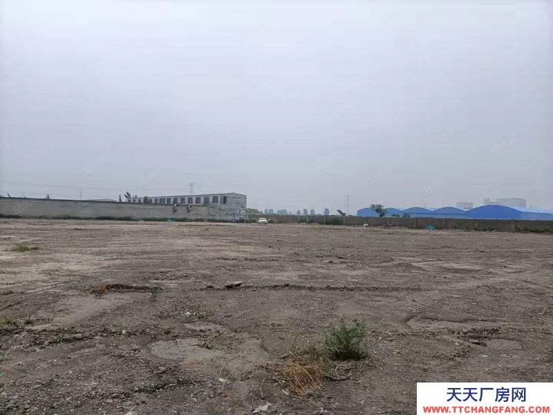 石家莊 欒城區 冶河鎮 40畝場地 出租