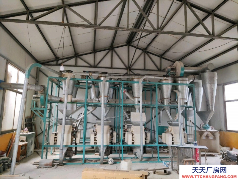 石家莊 行唐 彩鋼房，推拉門，前后多個(gè)窗戶。