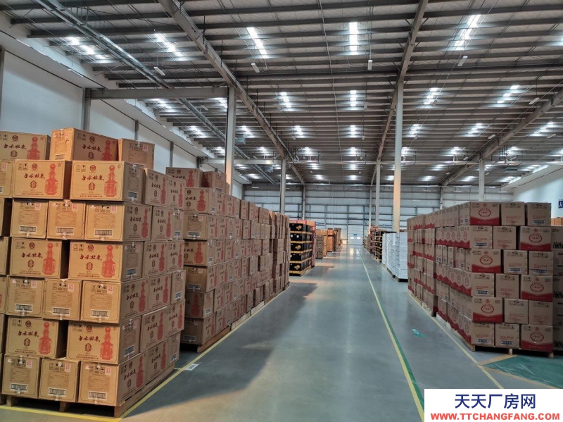 濟南濟陽高標倉出租500-1000平