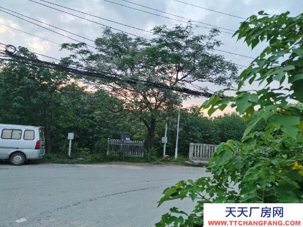 (出租)武漢青山房東直租免中介費(fèi)鋼結(jié)構(gòu)三間