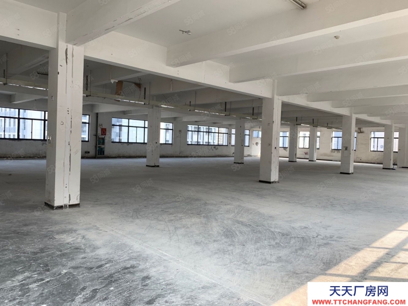 杭州西湖(出租) 三墩西湖科技園 1200方至7000方 帶貨梯,可生產輕加工