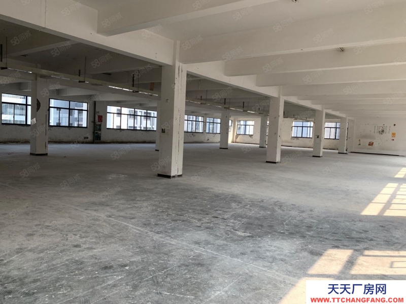 杭州西湖(出租) 三墩西湖科技園 1200方至7000方 帶貨梯,可生產輕加工