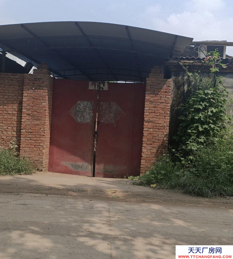 石家莊 靈壽 急售/急租 離201省道200多米