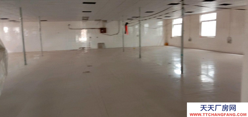 石家莊 高邑  出租廠房，交通便利，緊臨高速路口。