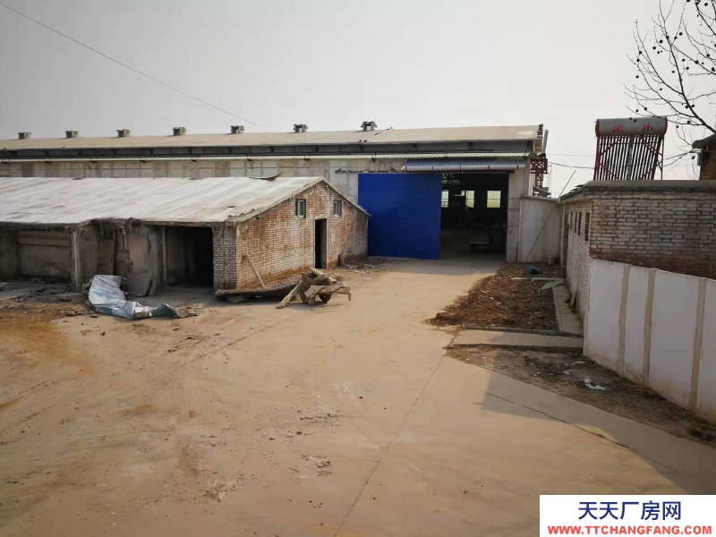 石家莊 高邑  鋼結構大空間，廠房庫房辦公齊全，占地50畝，交通方便