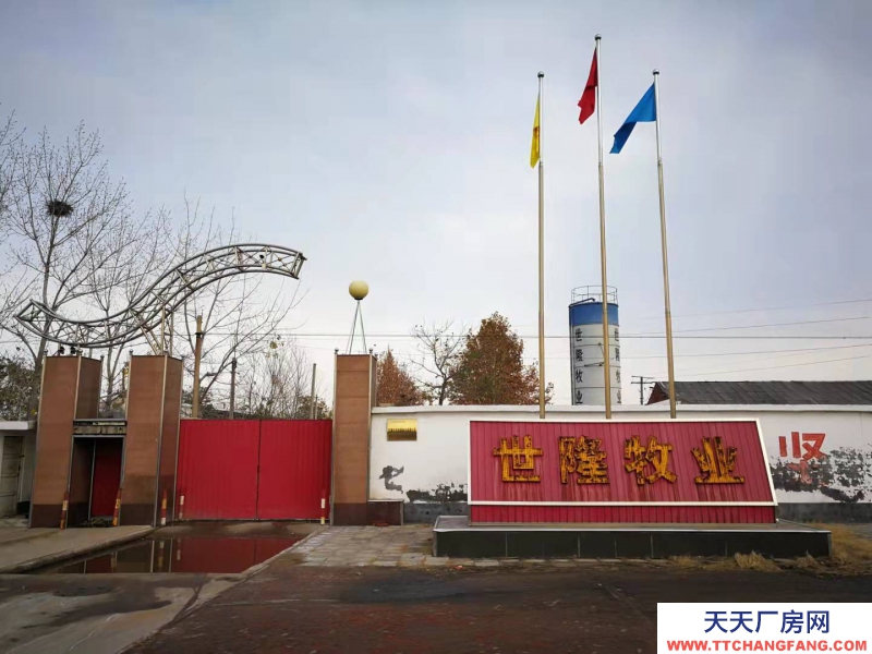 石家莊 高邑  鋼結(jié)構(gòu)大空間，廠房庫(kù)房辦公齊全，占地50畝，交通方便