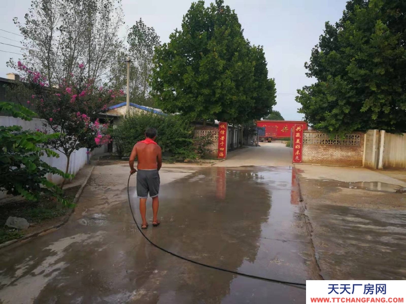 石家莊 高邑  鋼結構大空間，廠房庫房辦公齊全，占地50畝，交通方便