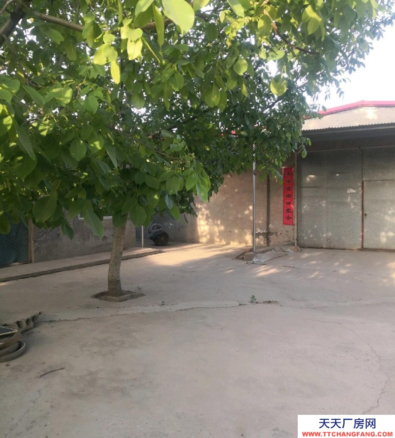 石家莊 高邑 臨街廠房倉庫，大車進出方便，臨近高速口。