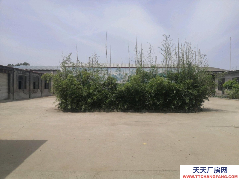 石家莊無極自建廠房，手續齊全，房東直租，價格面議