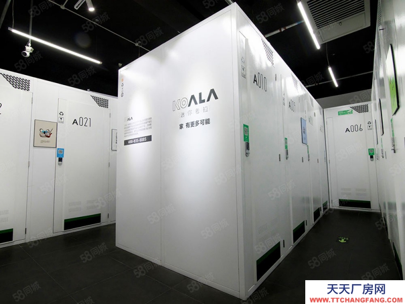 杭州西湖(出租) 黃龍丨百元倉庫出租，控溫控濕，電梯直達，搬運方便