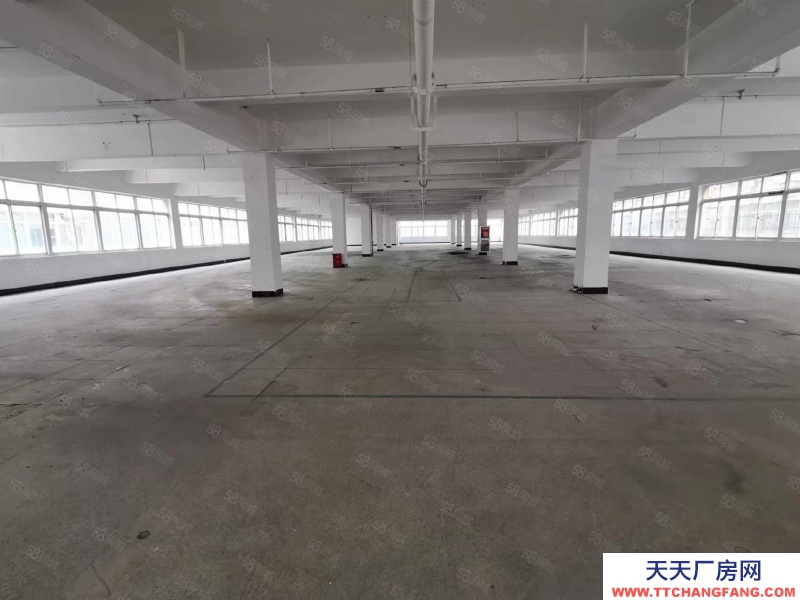 杭州西湖(出租) 西湖科技園新出1450方 可生產 倉儲 電商 研發 產證齊全