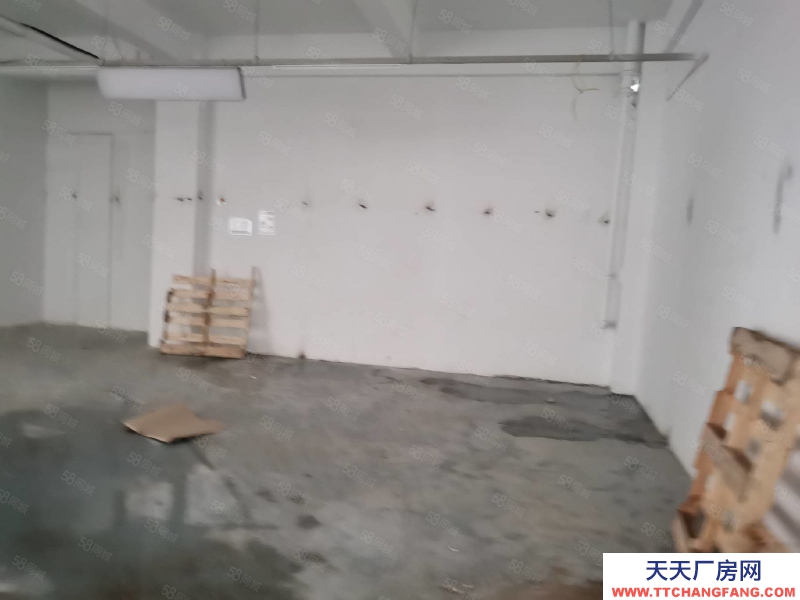 杭州拱墅區(出租) 一樓221方倉庫可進大車門口就有停車位卸貨方便層高4.5縱深