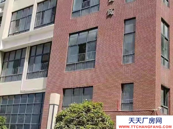 長沙市岳麓區標準混疑土框架結構有標準運動場地招租