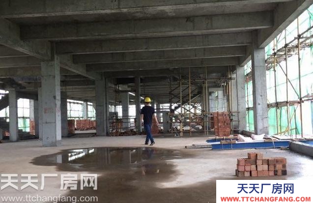 長(zhǎng)沙市岳麓區(qū)麓谷300-5000平廠房出售