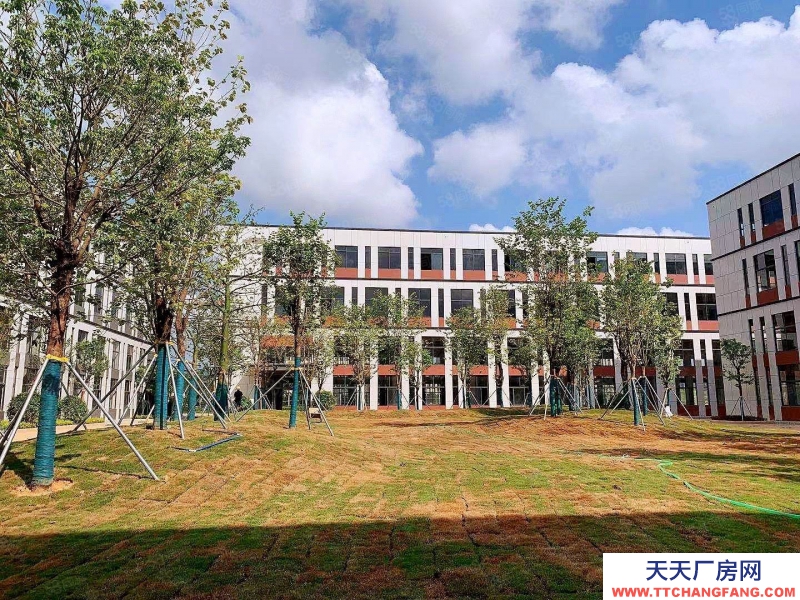 (出售) 廣州黃埔地鐵旁獨棟！平層1200~29000方，低價科技產業集聚