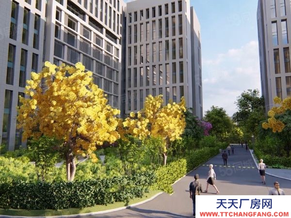 長沙市岳麓區 高新區 政策對接 獨研發辦公樓廠房火熱招商中 1002100