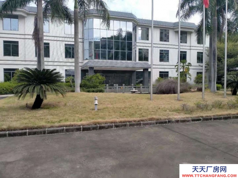 (出售) 廣州黃埔獨院廠房占地約9畝 建筑面積8540平方紅本 證件齊