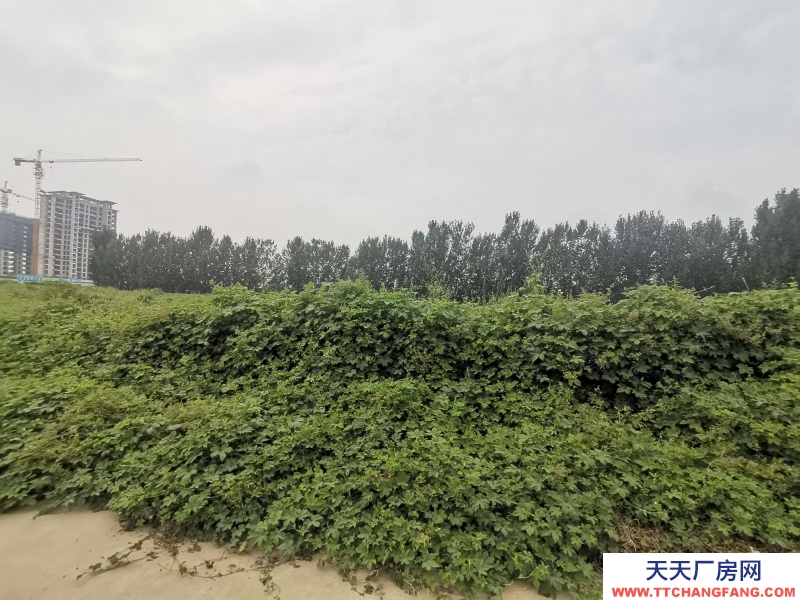 石家莊 元氏裝備基地3000平廠房帶天車新建1萬多平車間