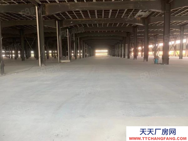 長沙市岳麓區麓谷 桐梓破西路60000平方鋼架結構倉庫