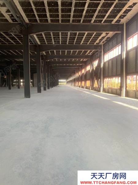 長沙市岳麓區麓谷 桐梓破西路60000平方鋼架結構倉庫