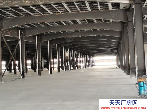 長沙市岳麓區麓谷 桐梓破西路60000平方鋼架結構倉庫