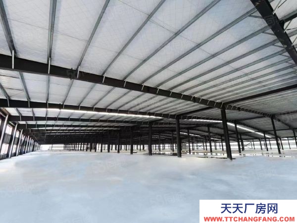 長沙市岳麓區(qū) 河西岳麓區(qū)麓谷鋼構(gòu)廠房一樓單層行車行吊1000出租平