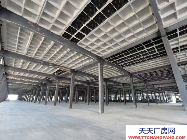 長沙市岳麓區(qū) 河西岳麓區(qū)麓谷鋼構(gòu)廠房一樓單層行車行吊1000出租平