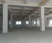 (出租)武漢東西湖超值價出租涇河電商產業園框架倉庫800平