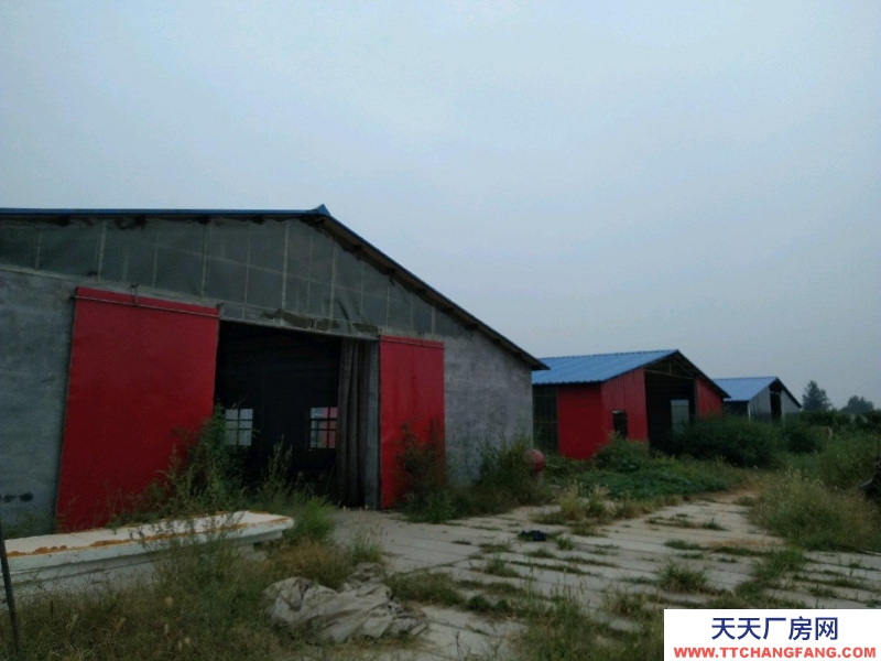 石家莊 趙縣城南獨立廠區(qū)四周清凈高速省道交通便利