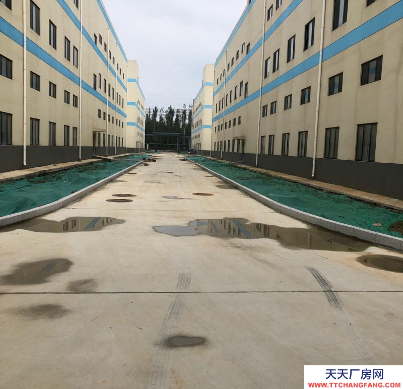 濟南商河 醫藥、高端原料藥類專用廠房+甲類危品庫