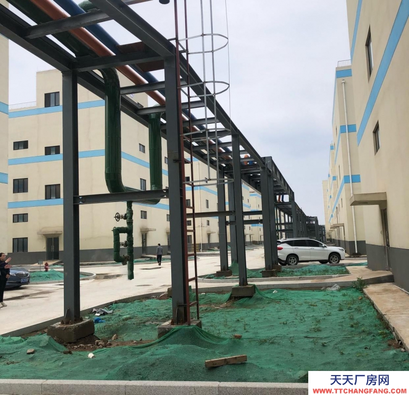 濟南商河 醫藥、高端原料藥類專用廠房+甲類危品庫