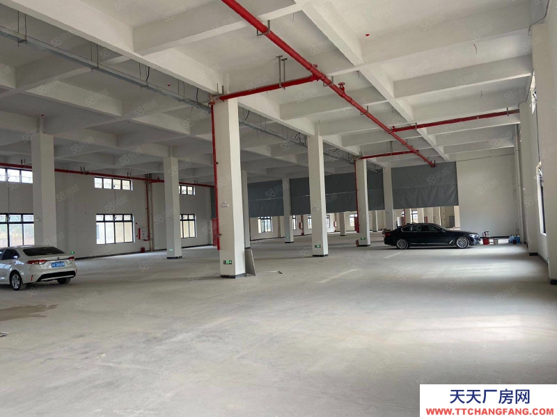 (出租) 廣州從化獨門獨院全新倉庫出租，大小可分租