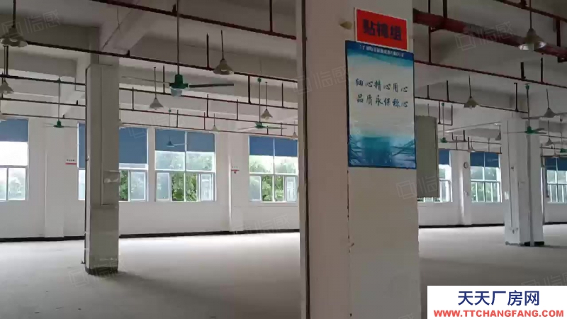 (出租) 廣州從化獨門獨院全新倉庫出租，大小可分租