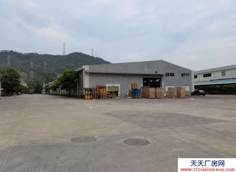 (出售) 廣州從化新出單一層鋼構廠房