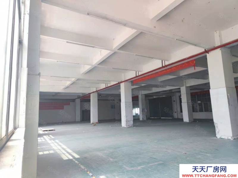 (出售)廣州 南沙區獨門獨院靚盤出售