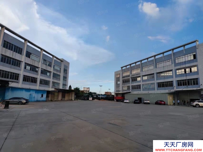 (出售)廣州 南沙區獨門獨院靚盤出售