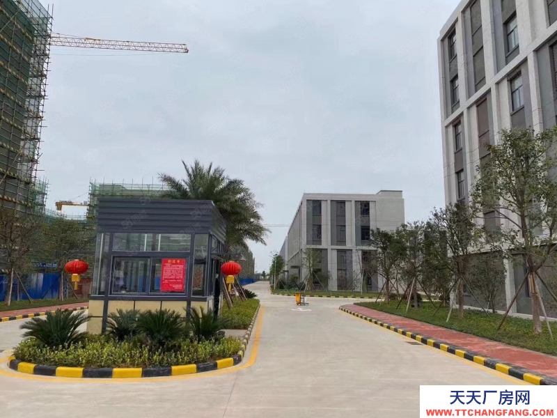 (出售) 廣州南沙地鐵旁首付兩成紅本800到20000方獨棟分層廠房出售！
