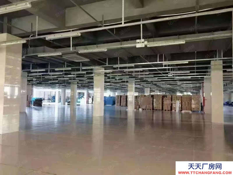 (出售) 廣州南沙區(qū)中心位置占地5.6畝獨(dú)院出售 近臨地鐵套配完善